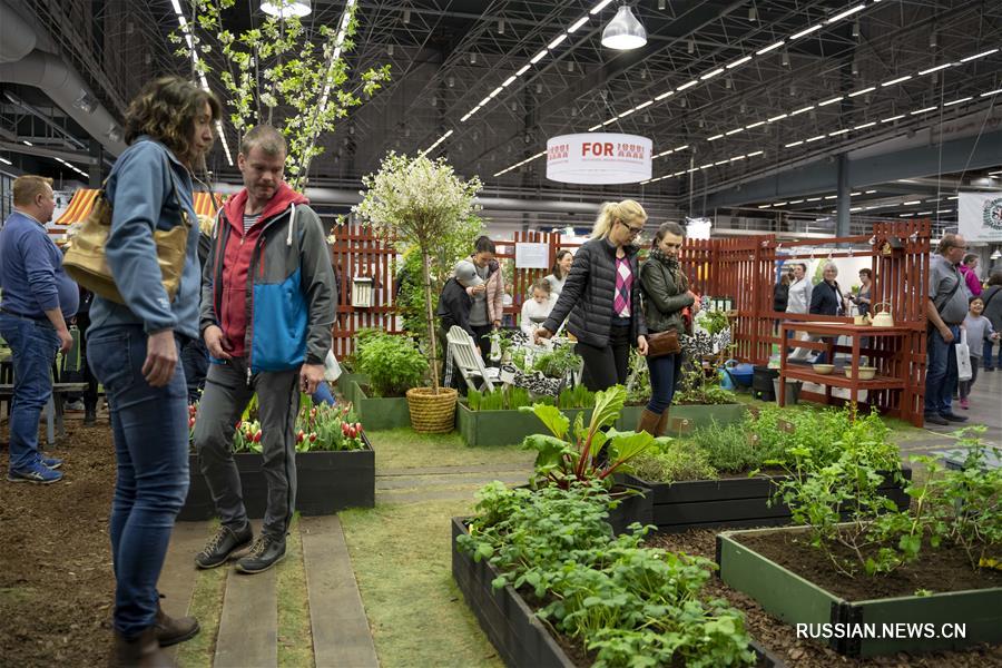 Северо-европейская садоводческая выставка 2019 прошла в Стокгольме