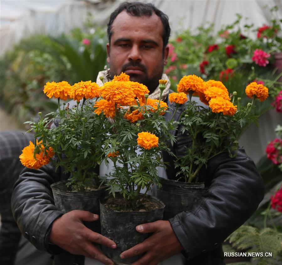 Весна в Афганистане: пора за цветами