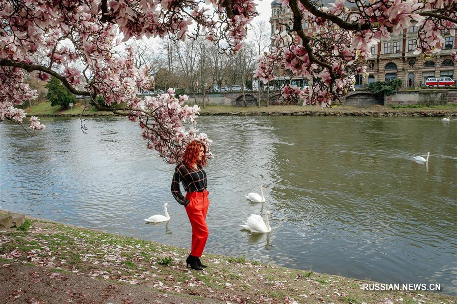 Весна в Страсбурге