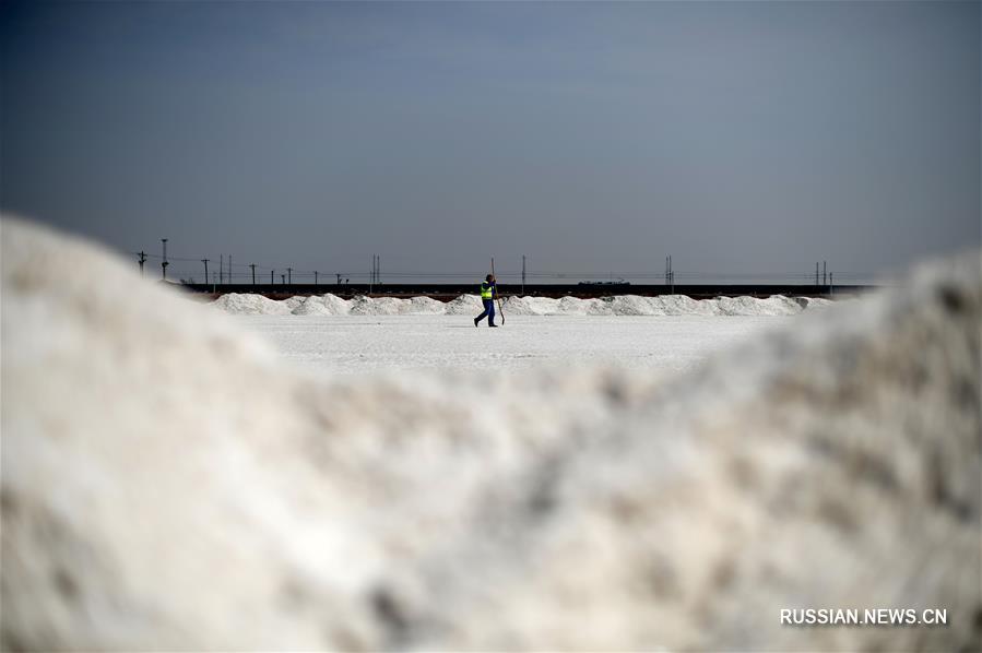 Весенняя добыча соли в Тяньцзине