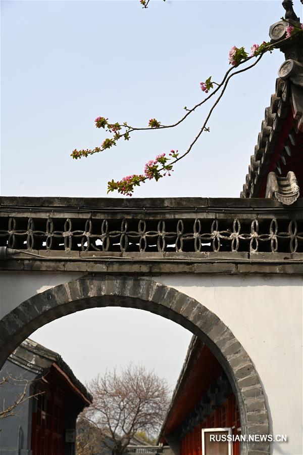 Весенние цветы в Запретном городе
