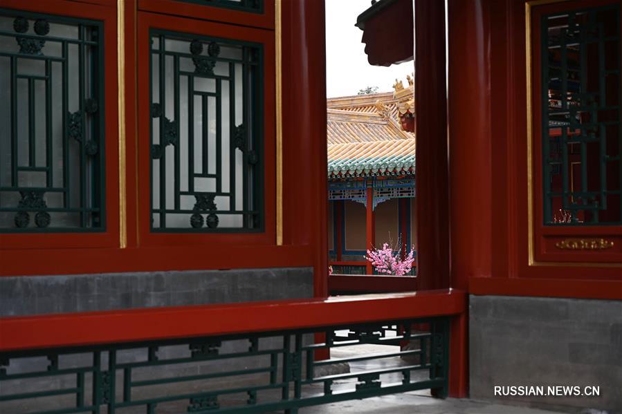 Весенние цветы в Запретном городе