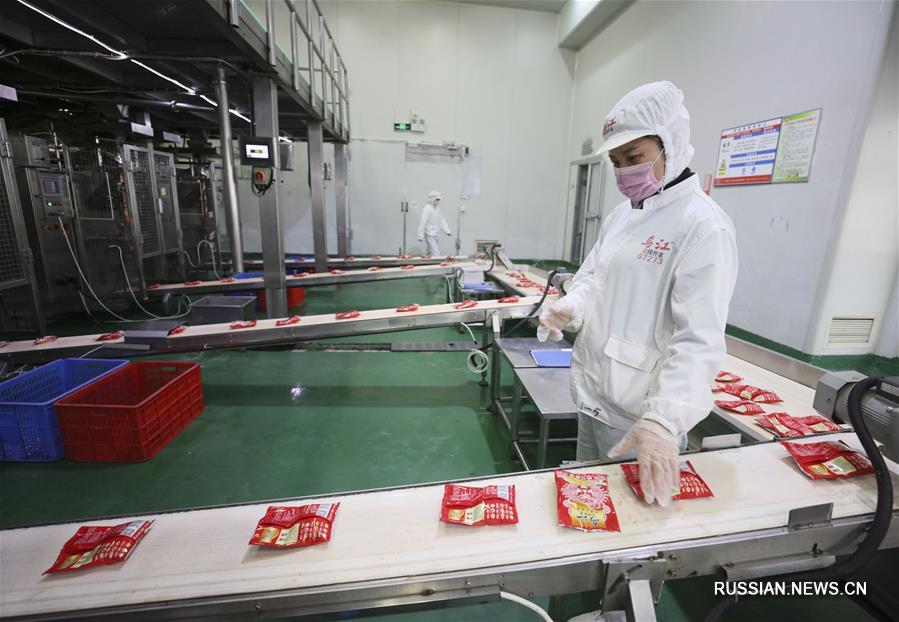 Производство квашеной овощной горчицы в Чунцине