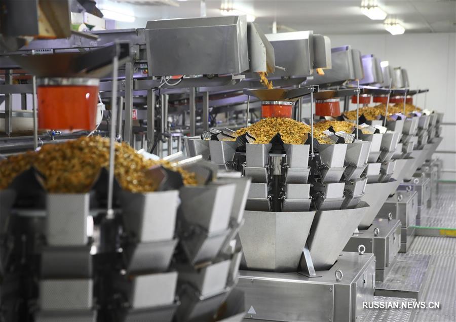 Производство квашеной овощной горчицы в Чунцине