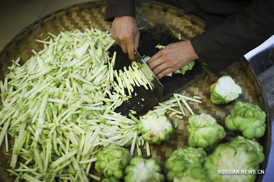 Производство квашеной овощной горчицы в Чунцине