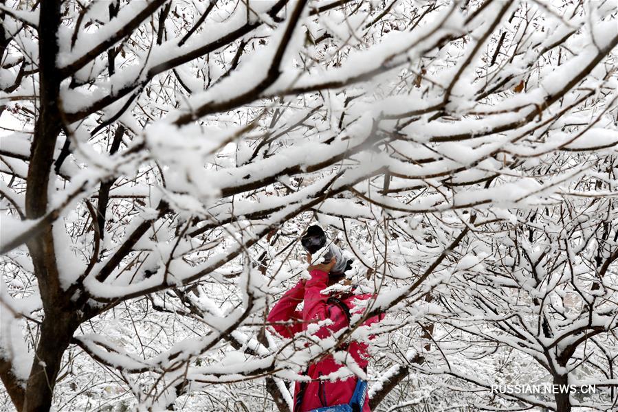 Весенний снегопад в Чжанцзякоу