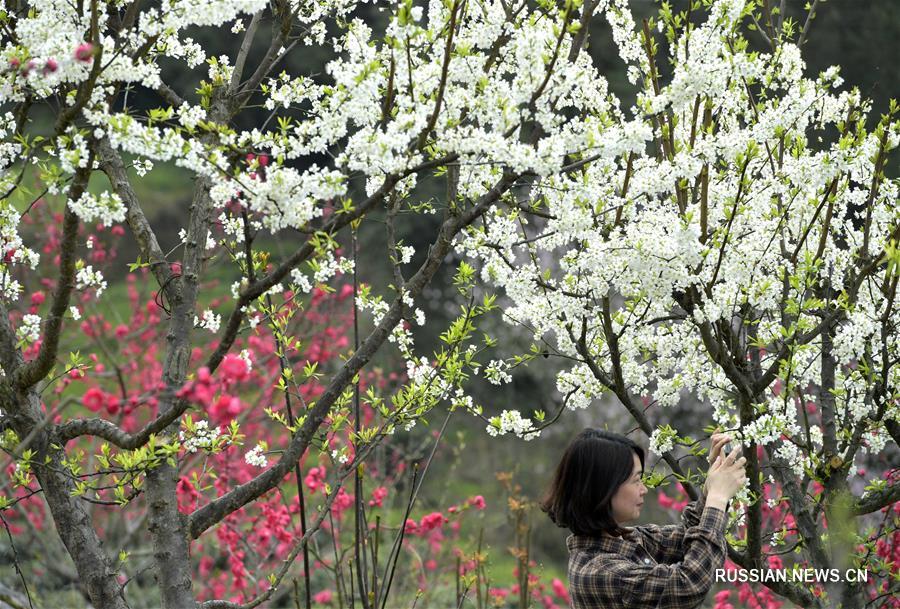 Цветущие сады в Эньши