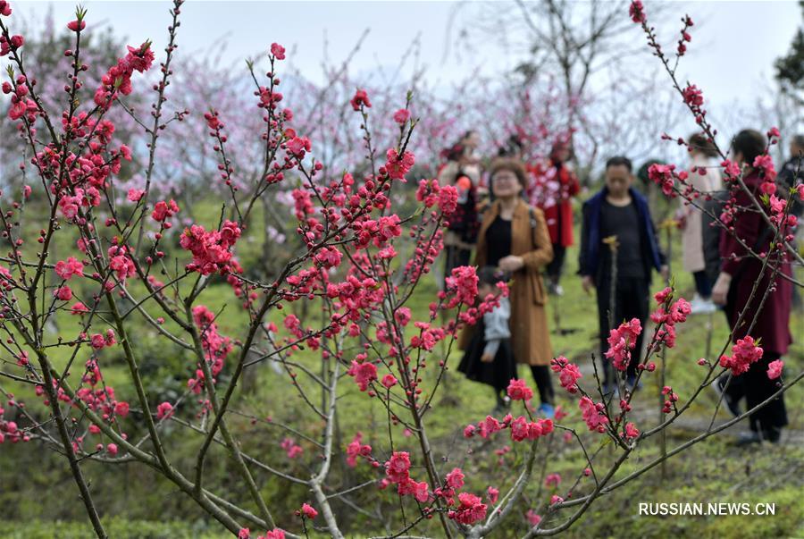 Цветущие сады в Эньши