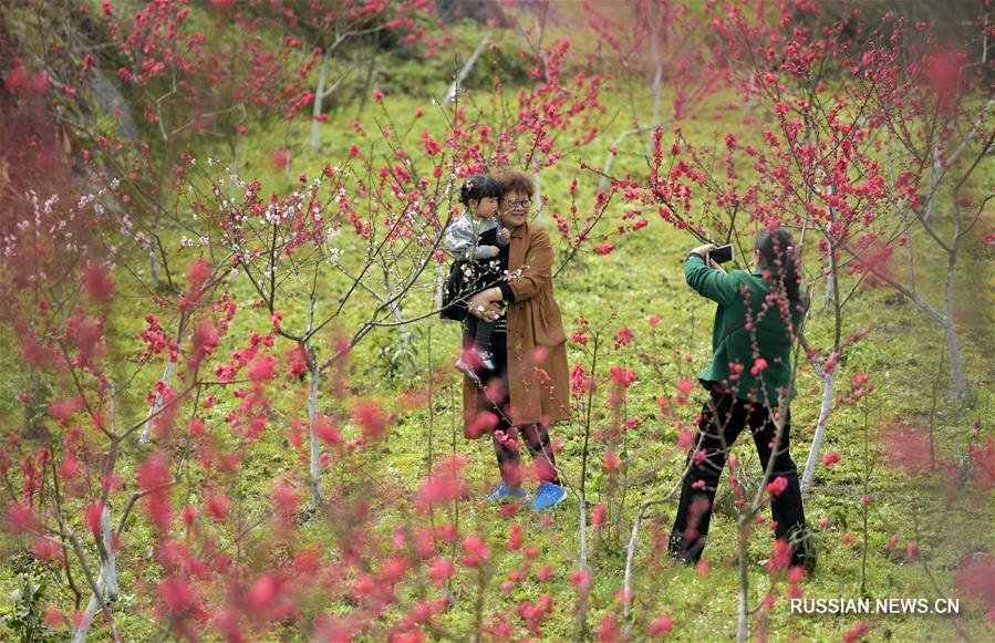 Цветущие сады в Эньши