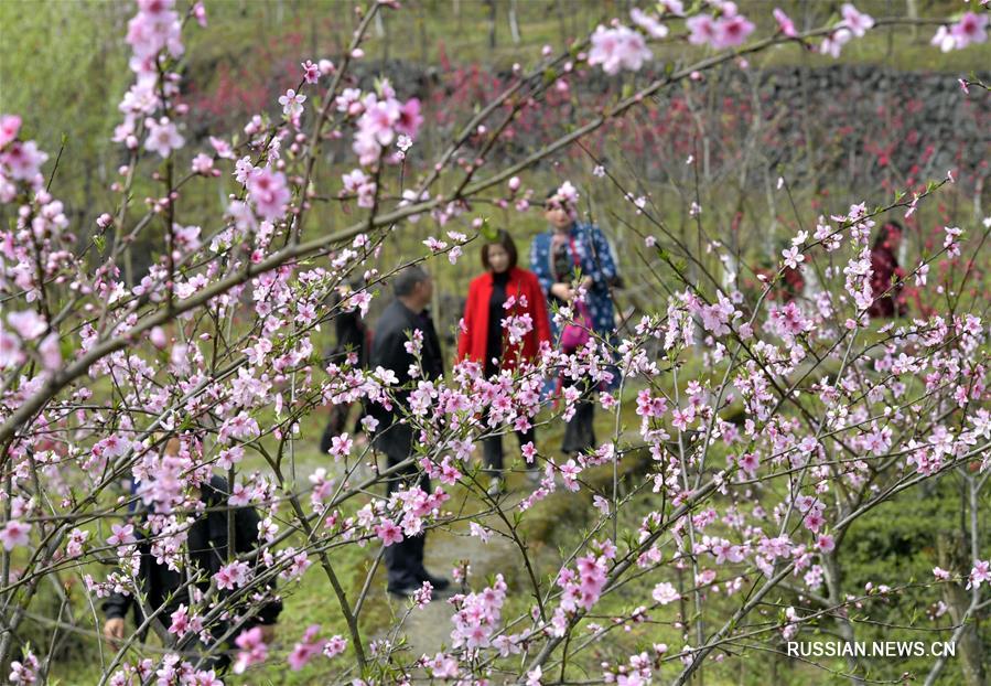 Цветущие сады в Эньши