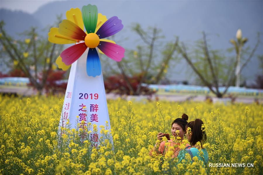 Цветущие поля в провинции Гуйчжоу