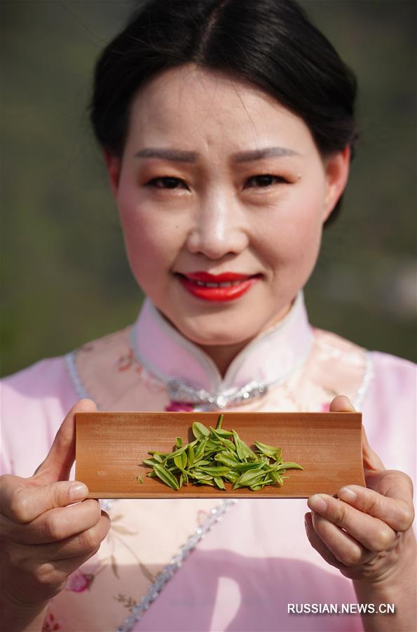 Весенняя культурно-туристическая программа на чайных плантациях уезда Цзыян