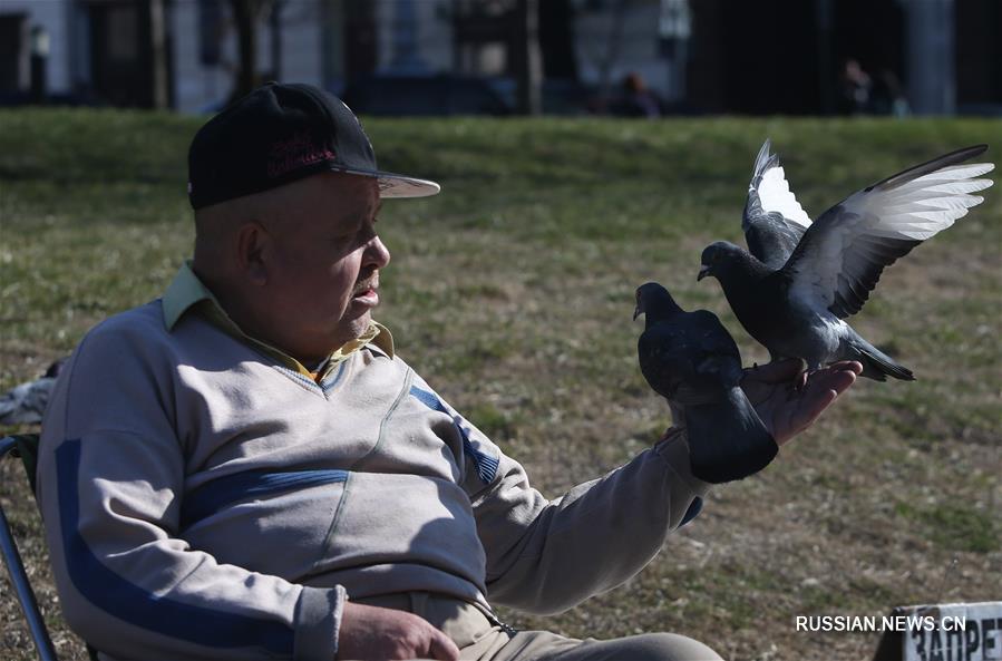 Накануне первого тура президентских выборов в Киев пришла весна