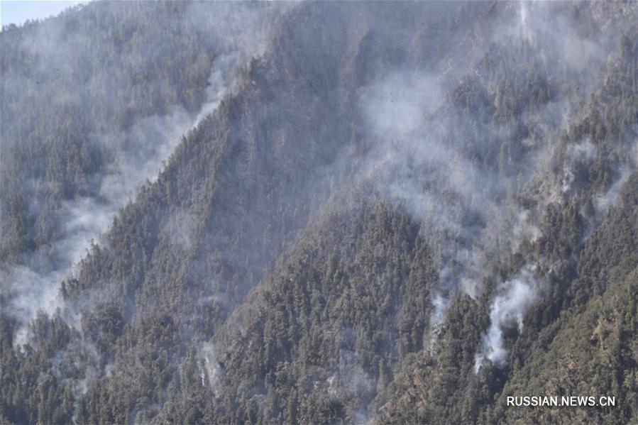 Лесной пожар на юго-западе Китая локализован