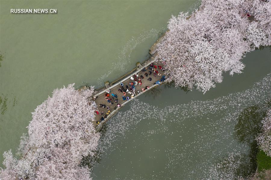 Весна на озере Тайху
