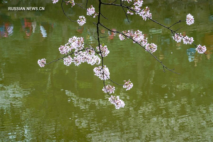 Весна на озере Тайху