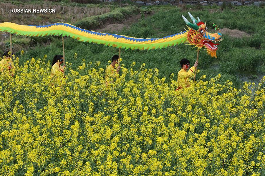 Танец дракона "Лунли" из провинции Гуйчжоу