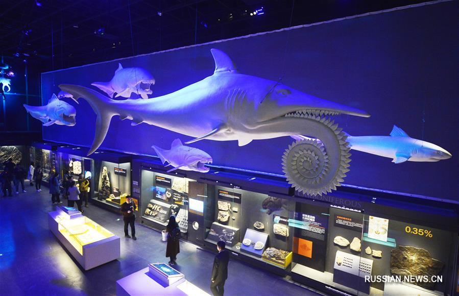 Национальный музей морей и океанов в Тяньцзине откроется в течение этого года