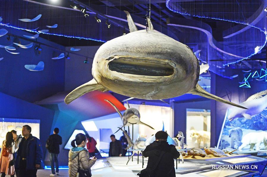 Национальный музей морей и океанов в Тяньцзине откроется в течение этого года