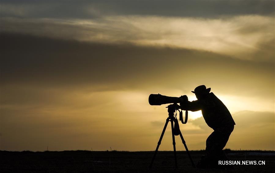 Весна в национальном природном заповеднике "Алтынтаг"
