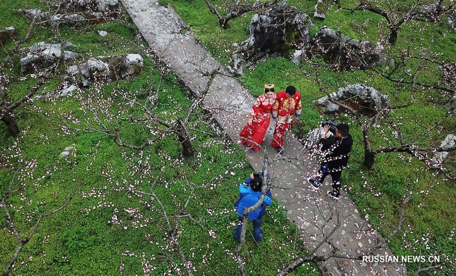 Коллективная свадьба среди цветущих персиков в провинции Гуйчжоу