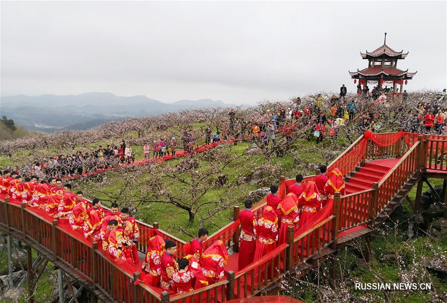 Коллективная свадьба среди цветущих персиков в провинции Гуйчжоу