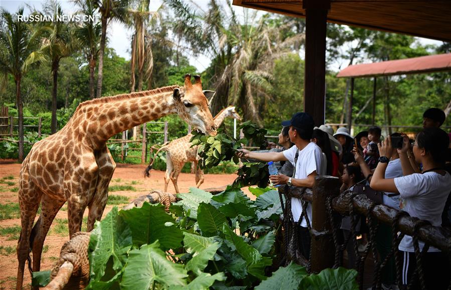 Каникулы по случаю праздника Цинмин в Китае