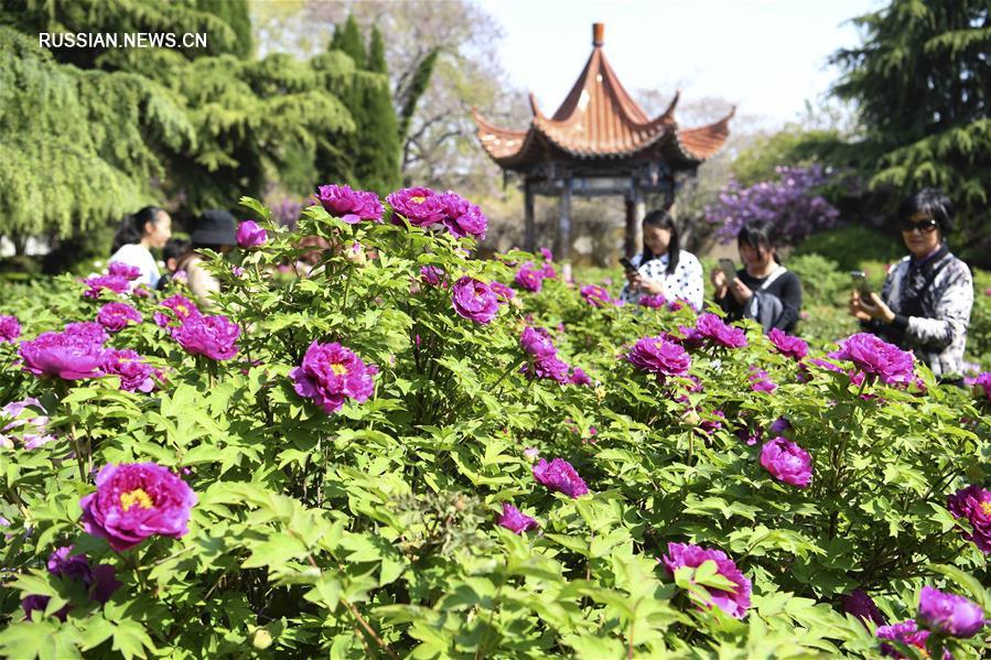 Каникулы по случаю праздника Цинмин в Китае