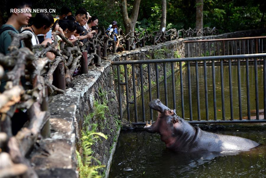 Каникулы по случаю праздника Цинмин в Китае