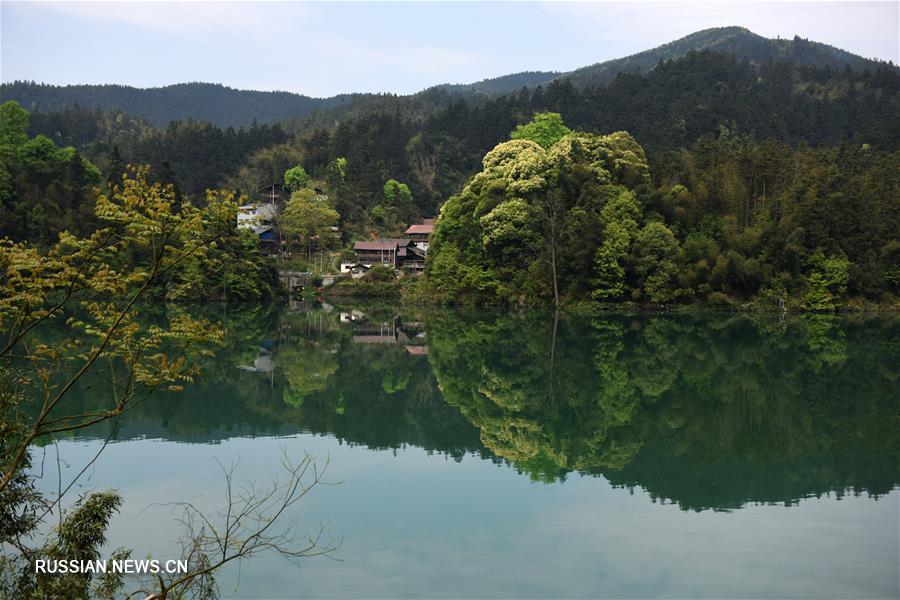 Весна в уезде Цзиньпин провинции Гуйчжоу