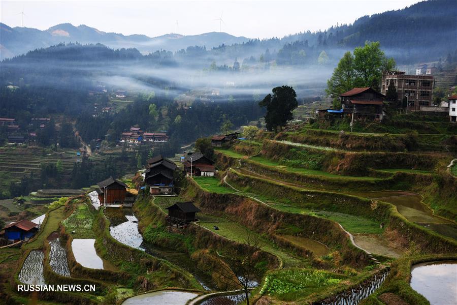 Весна в уезде Цзиньпин провинции Гуйчжоу