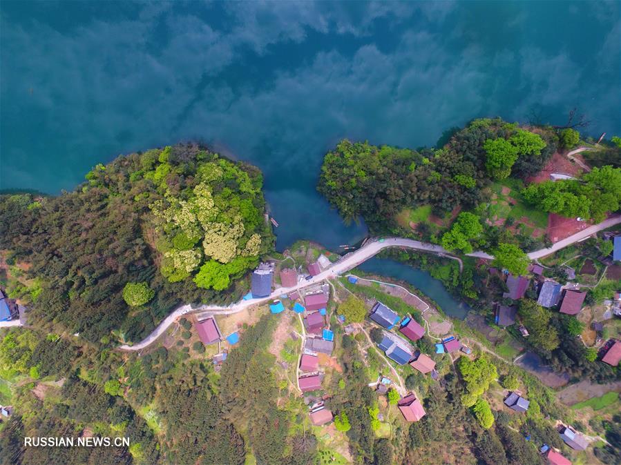 Весна в уезде Цзиньпин провинции Гуйчжоу