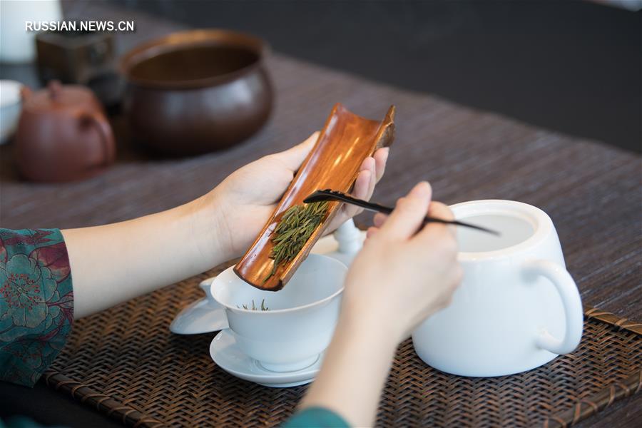 Семейная чайная плантация в уезде Аньцзи провинции Чжэцзян