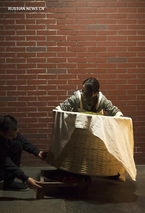 Семейная чайная плантация в уезде Аньцзи провинции Чжэцзян