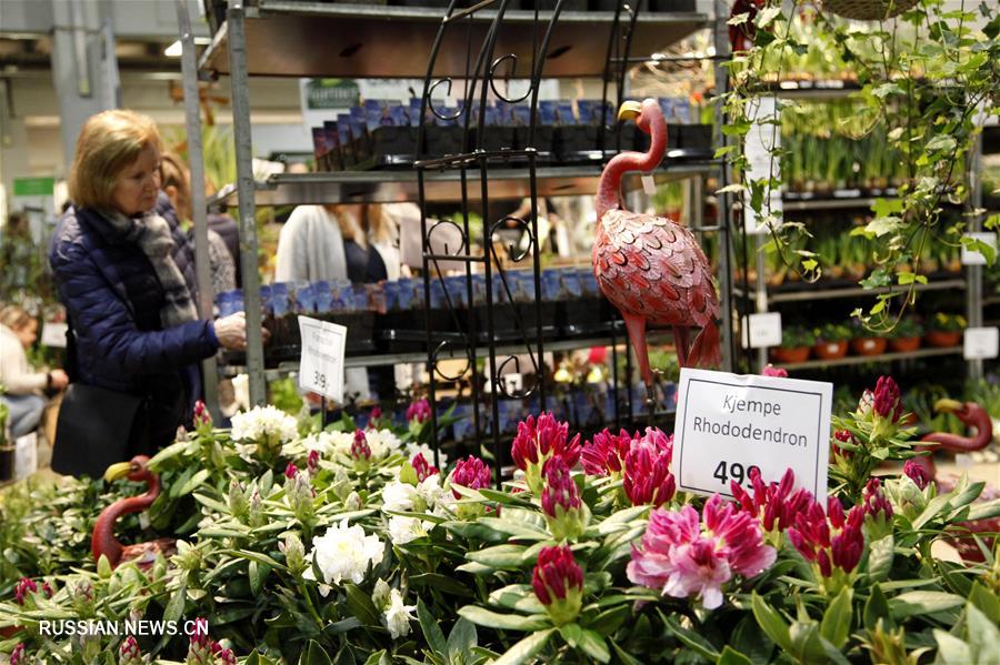 В Норвегии открылась ежегодная выставка садоводства