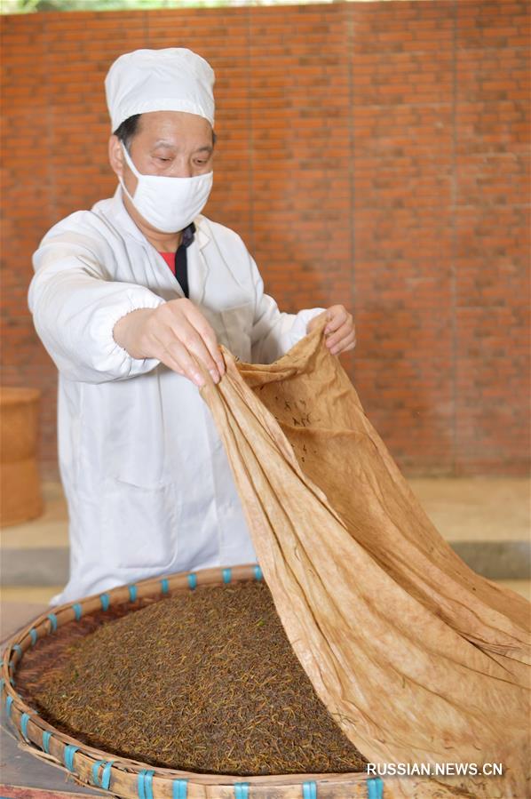 Технология производства чая "Личуаньхун"