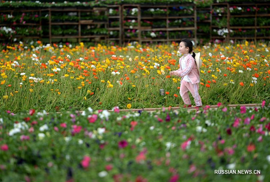 В парке Международной выставки садово-паркового искусства в Куньмине царит весенняя свежесть и веселье