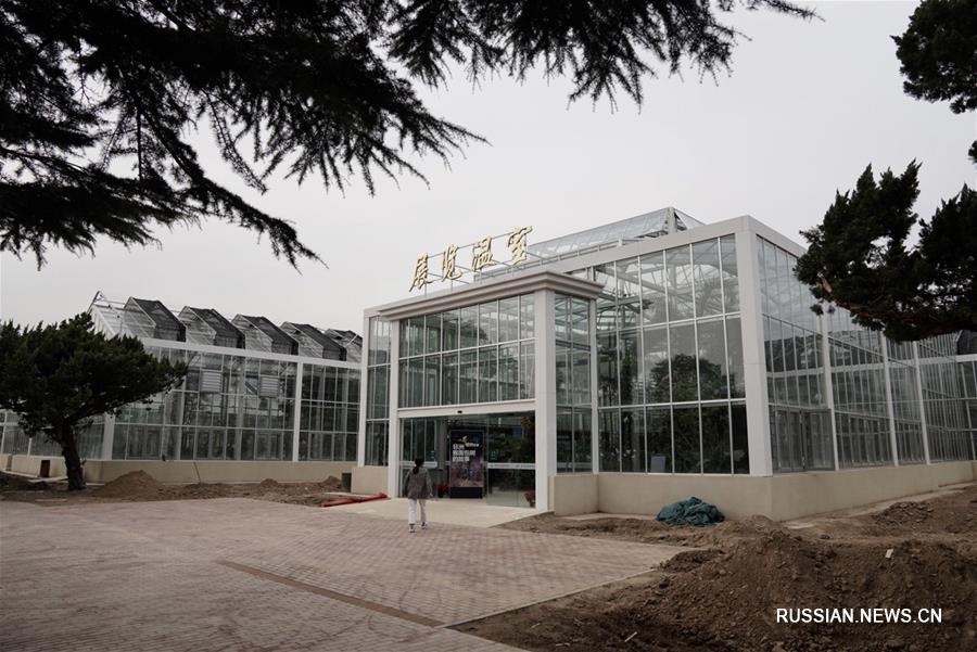 В Пекине после реконструкции открывается оранжерея Ботанического сада Академии наук Китая