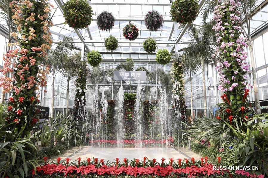 В Пекине после реконструкции открывается оранжерея Ботанического сада Академии наук Китая