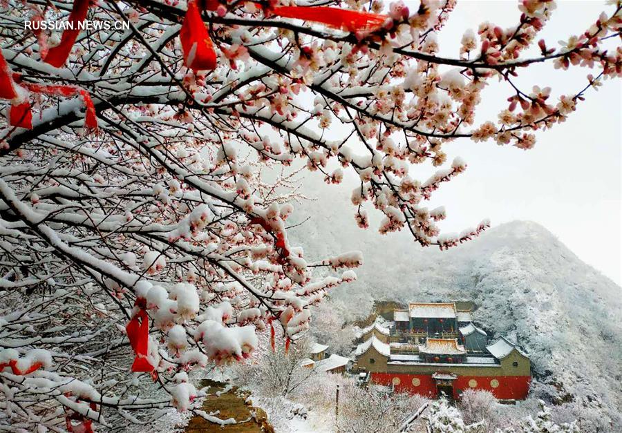 В Чжанцзякоу выпал снег