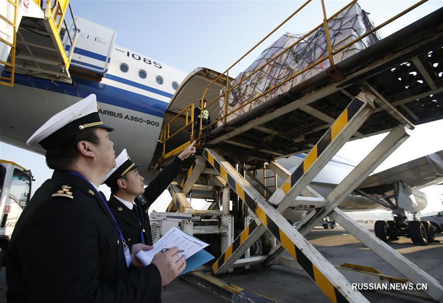 （文化）（4）意大利返还中国文物抵京