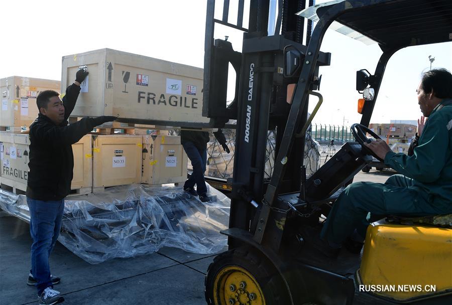 （文化）（5）意大利返还中国文物抵京