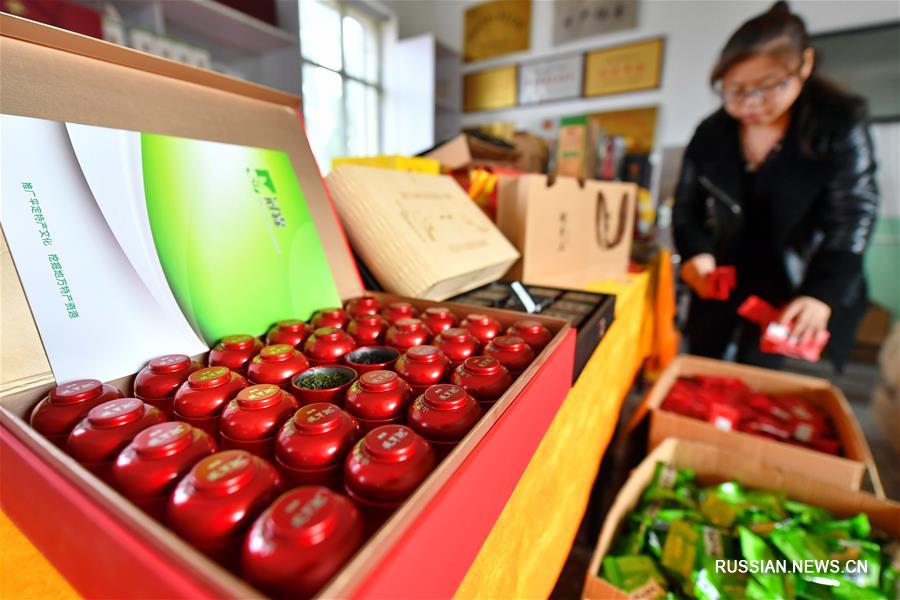 Сельскохозяйственное выращивание форзиции в горах Тайханшань