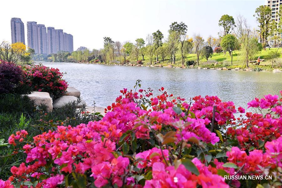 Новая жизнь живописного ручья в городе Фучжоу