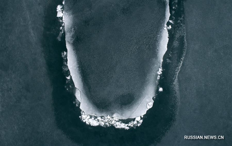 На озеро Цинхай пришла весна