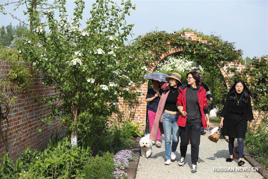 "Сад для дочерей" в Чэнду