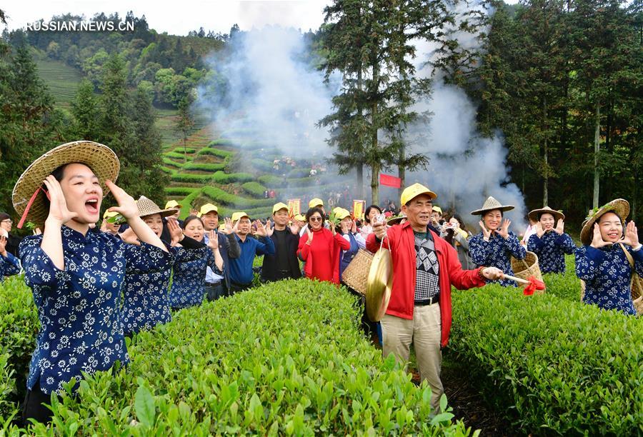 Фольклорно-культурный фестиваль на чайных плантациях в горах Уишань