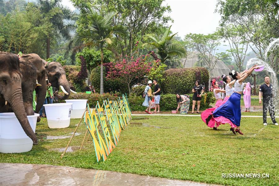 Слоны в Сишуанбаньна встречают дайский Новый год