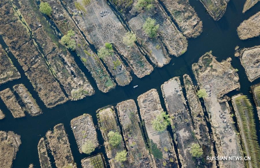 Заметно повысилось качество воды в озере Байяндянь на севере Китая