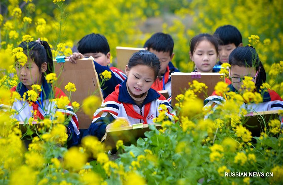 Урок рисования на свежем воздухе